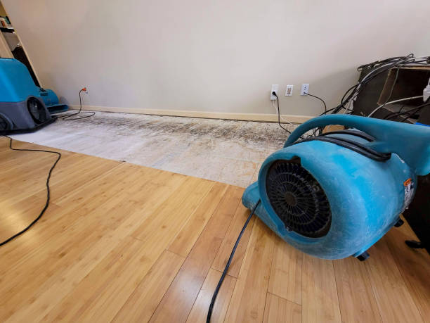 Professional Sewage Cleanup technician working in Shelton, NE